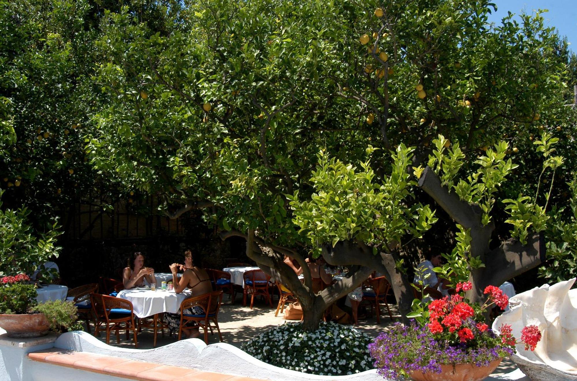Hotel San Felice Capri Exteriér fotografie
