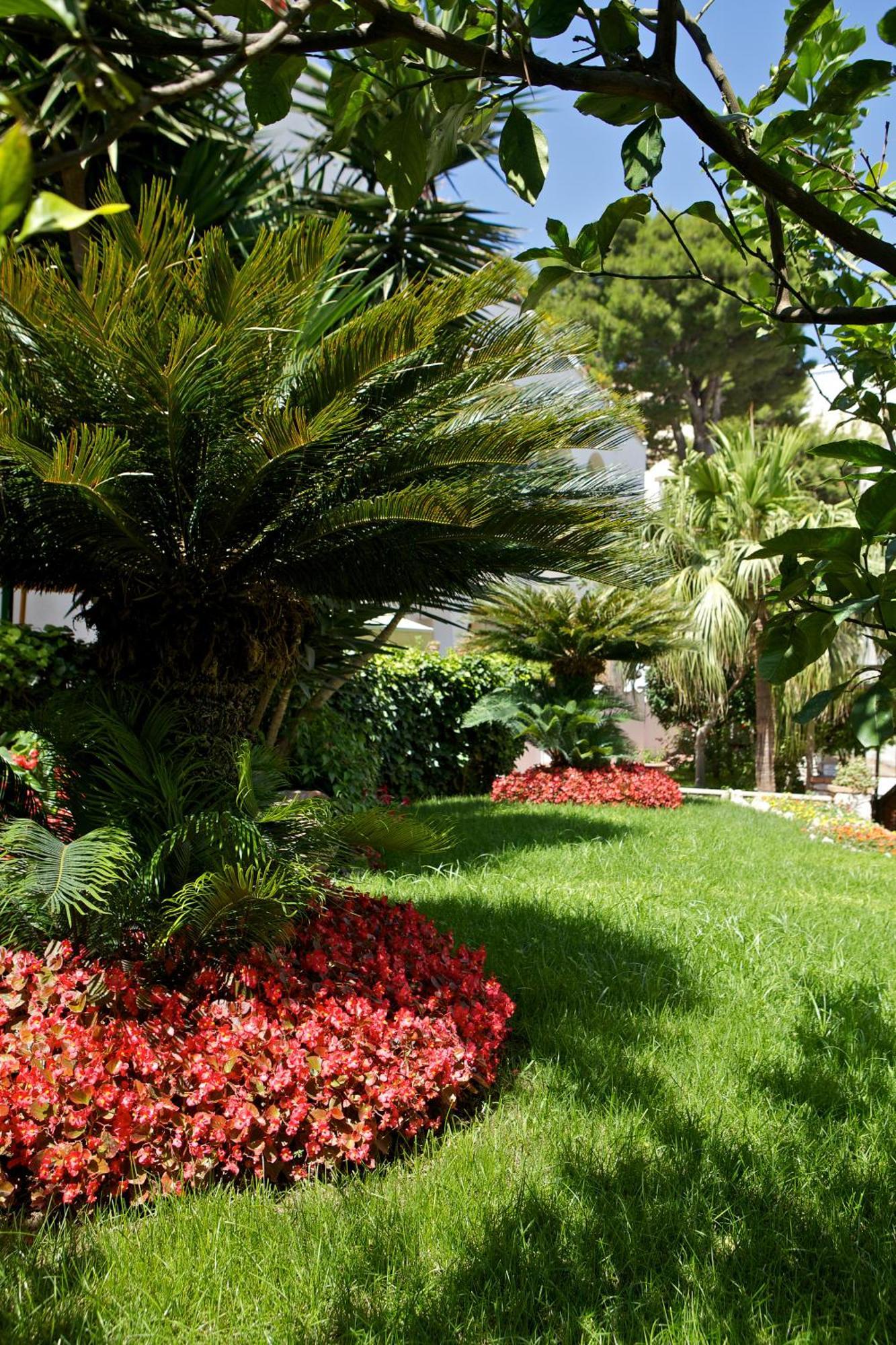 Hotel San Felice Capri Exteriér fotografie